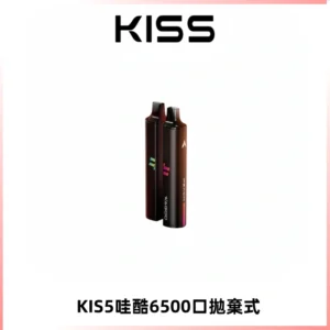 KIS5WAGOO哇酷6500口拋棄式 | 自由混搭雙口味 | 雙芯組合